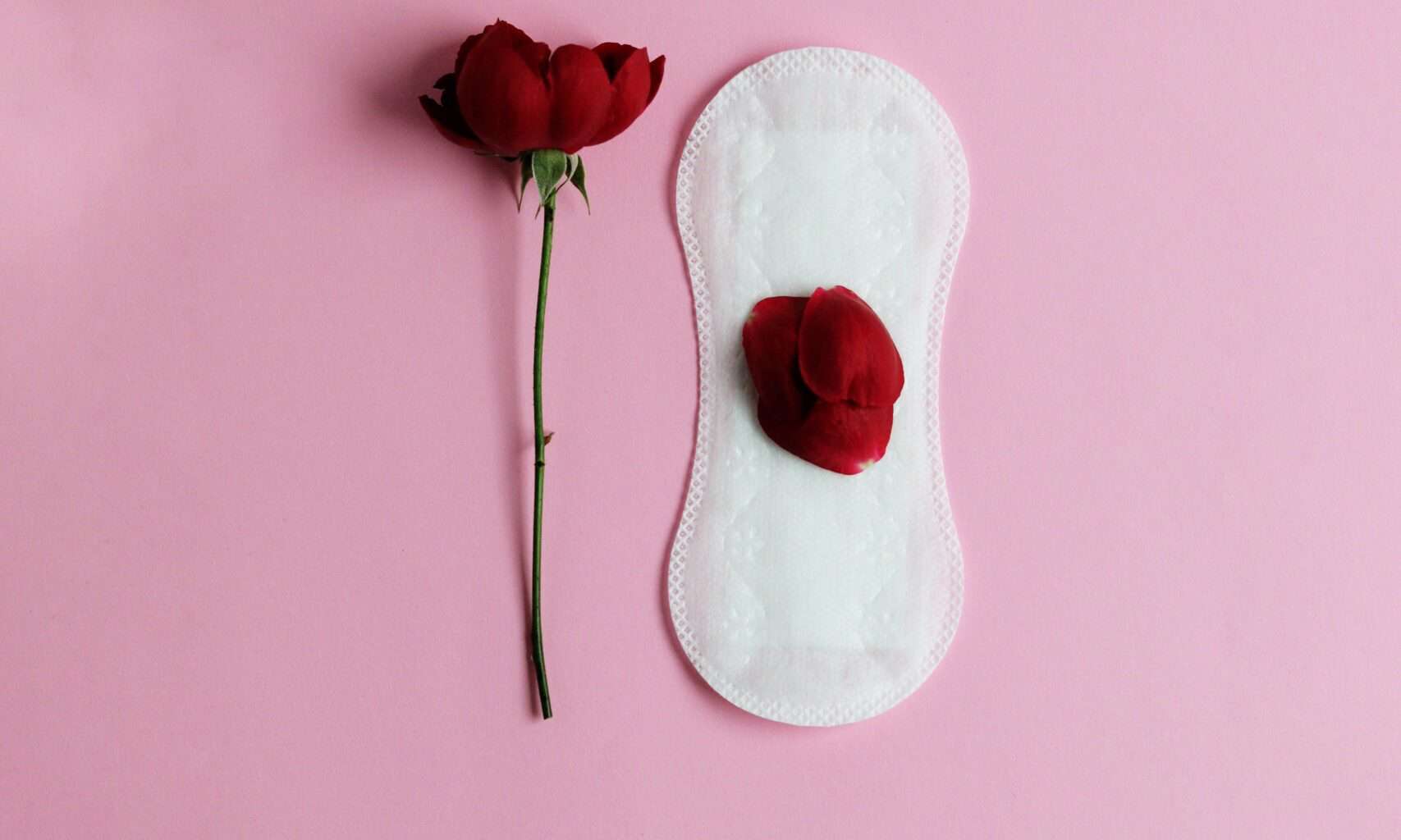 Pad and rose on a pink background